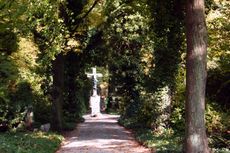 Herbst-Friedhof 029.jpg